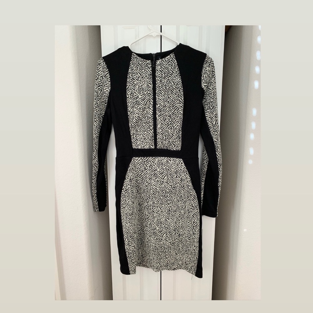 WBG by Walter Baker bodycon black and ivory dress